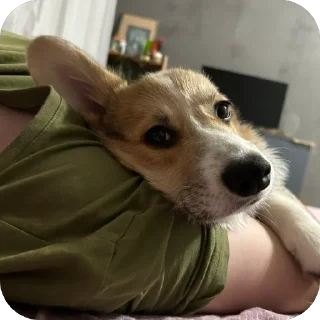 Sticker лёня - 11