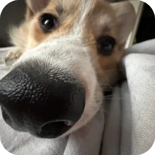 Sticker лёня - 1