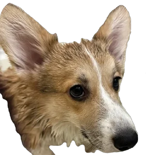 Sticker лёня - 7