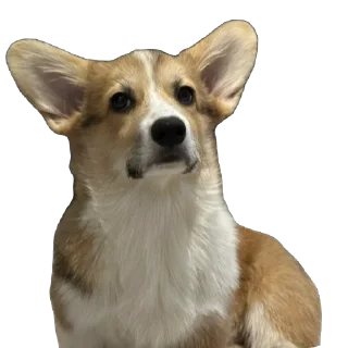 Sticker лёня - 10