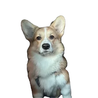 Sticker лёня - 9