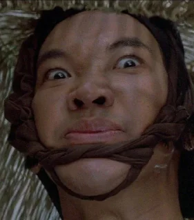 Sticker Лысая утка и друзья @MoiStikiBot - 3