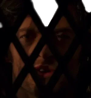 Sticker Лысая утка и друзья @MoiStikiBot - 9