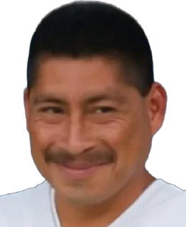 Sticker Лысая утка и друзья @MoiStikiBot - 6