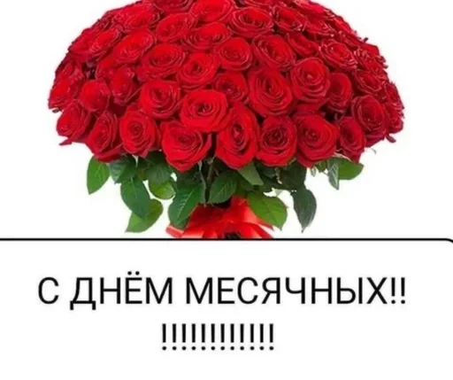 цветок растение лепесток