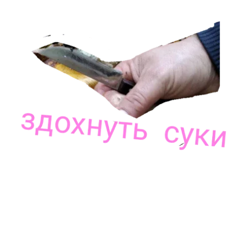 Sticker lyubmij_pizdozh - 1