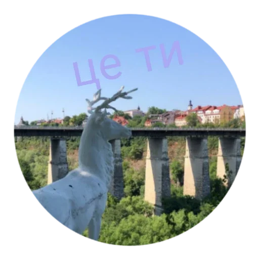 Стикер любімий пиздьож 😎 - 4