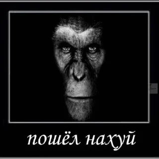 Sticker лыьдч - 6