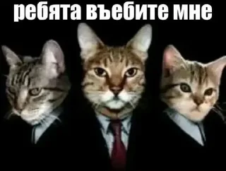 Sticker Больше стикеров 👉🏻 @stickertg4 - 8