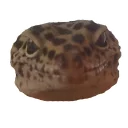 Sticker Lizards - 10