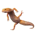Sticker Lizards - 6