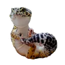 Sticker Lizards - 3