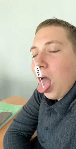 Sticker m072ff3acfb4743318747b92bb7e61521_by_yazykioboi_bot - 1