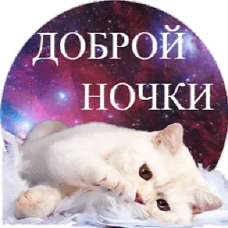 Стикер ℐ®inª - 3