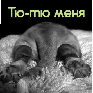 Sticker ℐ®inª² - 4