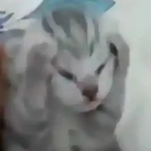 Стикер m0lochkapack - 1