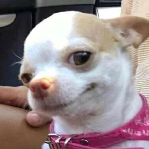 Стикер m0lochkapack - 1