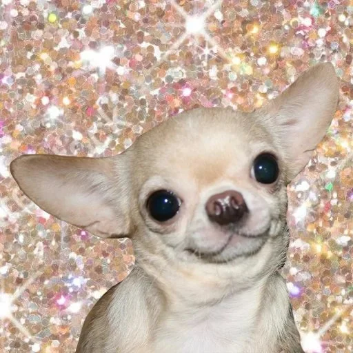 Sticker m0lochkapack - 1