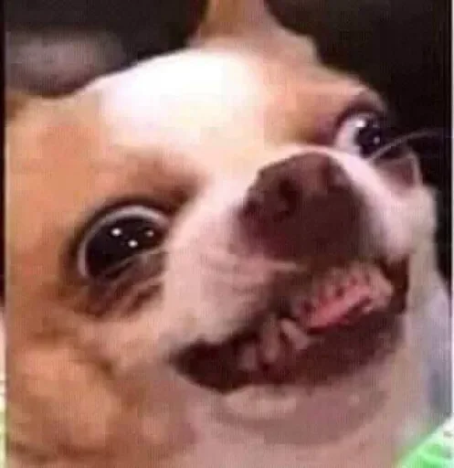 Sticker m0lochkapack - 1