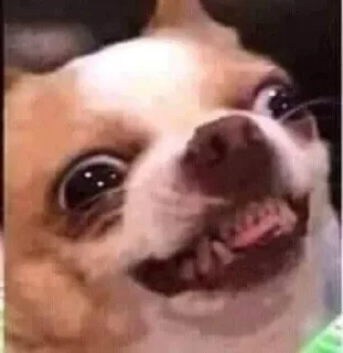 Стикер m0lochka super pack - 2