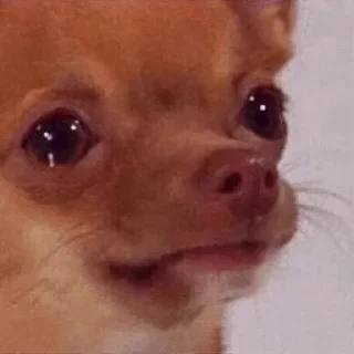 Стикер m0lochka super pack - 11