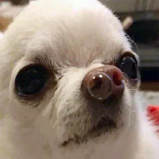 Стикер m0lochka super pack - 5