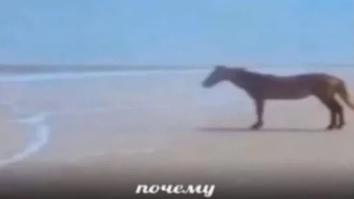 Стикер xxwnml11 :: @fStikBot - 7