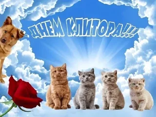 Sticker @opiumdr3am - 9