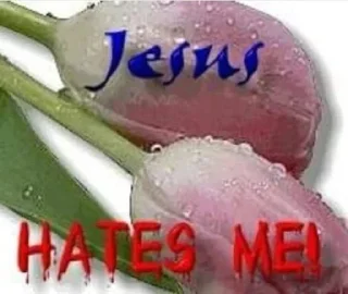 Sticker @opiumdr3am - 5