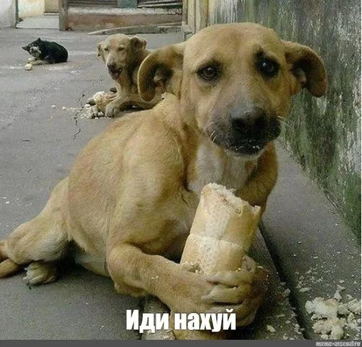 Стикер m9J8p3_by_EmojiRuBot - 1