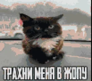 Стикер Больше стикеров 👉🏻 @stickertg4 - 8