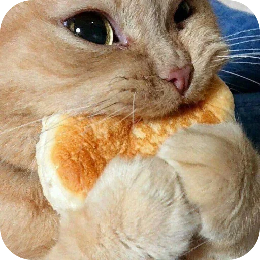 Sticker mAgtLcT_by_achestickbot - 1