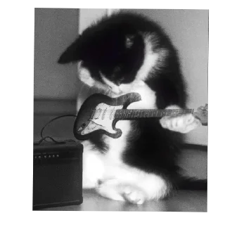 Sticker Больше стиков тут: @stikery4 - 6