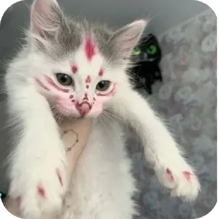 Sticker Больше стиков тут: @stikery4 - 5