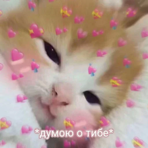 Больше стикеров 👉🏻 @stickertg4 - 