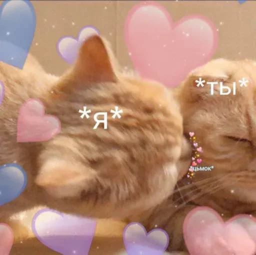 Sticker mBFpAdtfiuXyjVD_by_stickers_stealer_bot - 1