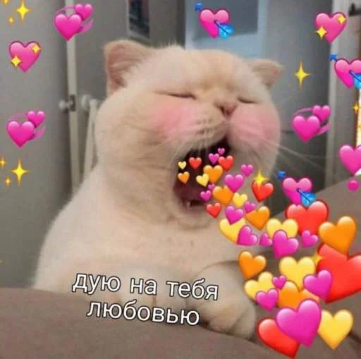 Sticker mBFpAdtfiuXyjVD_by_stickers_stealer_bot - 1