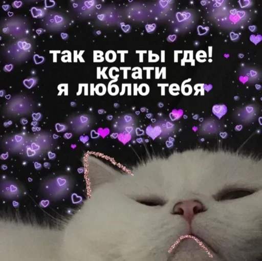 Sticker mBFpAdtfiuXyjVD_by_stickers_stealer_bot - 1