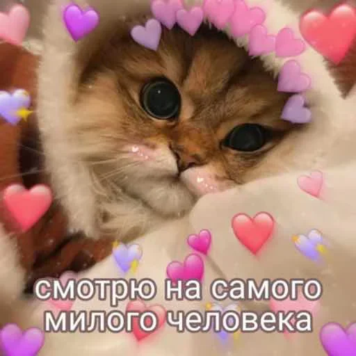 Sticker mBFpAdtfiuXyjVD_by_stickers_stealer_bot - 1