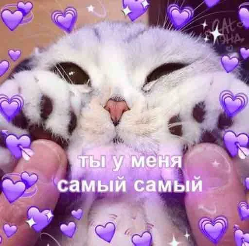 Sticker mBFpAdtfiuXyjVD_by_stickers_stealer_bot - 1