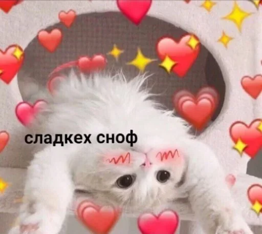 Sticker mBFpAdtfiuXyjVD_by_stickers_stealer_bot - 1