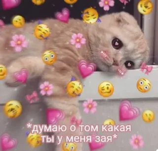 Sticker Больше стикеров 👉🏻 @stickertg4 - 3