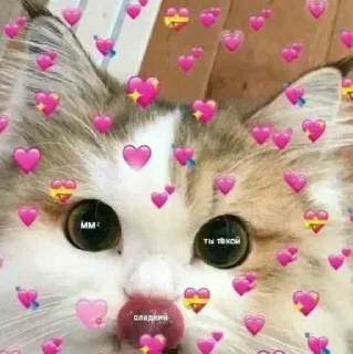 Sticker Больше стикеров 👉🏻 @stickertg4 - 11