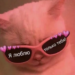 Sticker Больше стикеров 👉🏻 @stickertg4 - 8