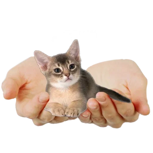 Стикер mJkgqkj_by_achestickbot - 1