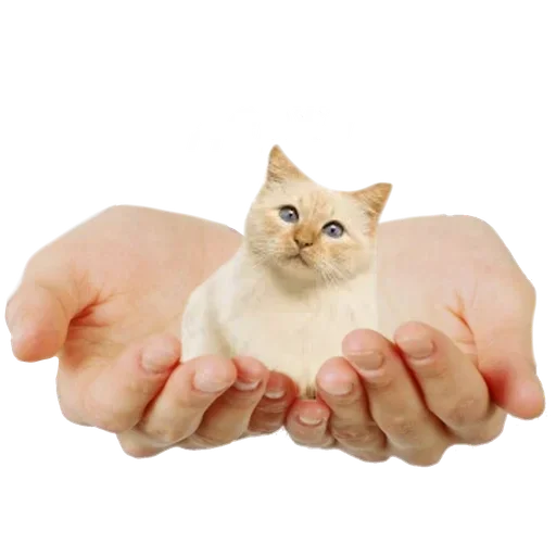 Sticker mJkgqkj_by_achestickbot - 1