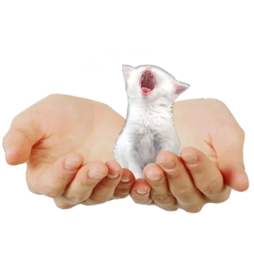 Sticker mJkgqkj_by_achestickbot - 1