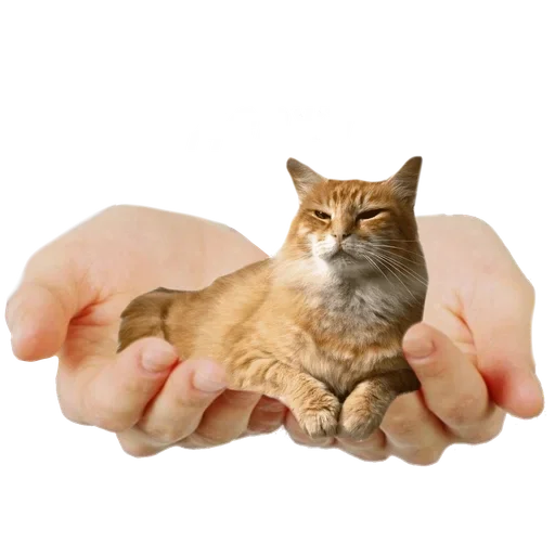 Sticker mJkgqkj_by_achestickbot - 1