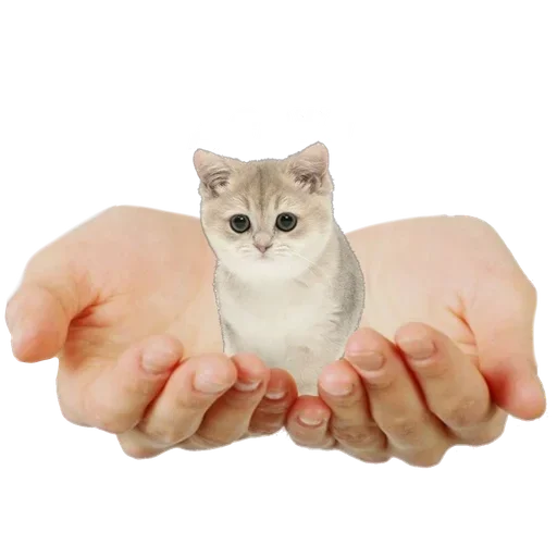 Стикер mJkgqkj_by_achestickbot - 1