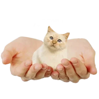 Стикер Больше стиков тут: @stikery4 - 6